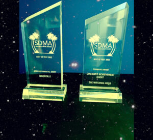 Two awards are shown in front of a night sky.